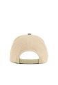 FLEXFIT 110 ARCH CAP