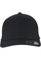 Flexfit 110 Curved Snapback