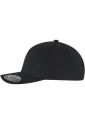 Flexfit 110 Curved Snapback