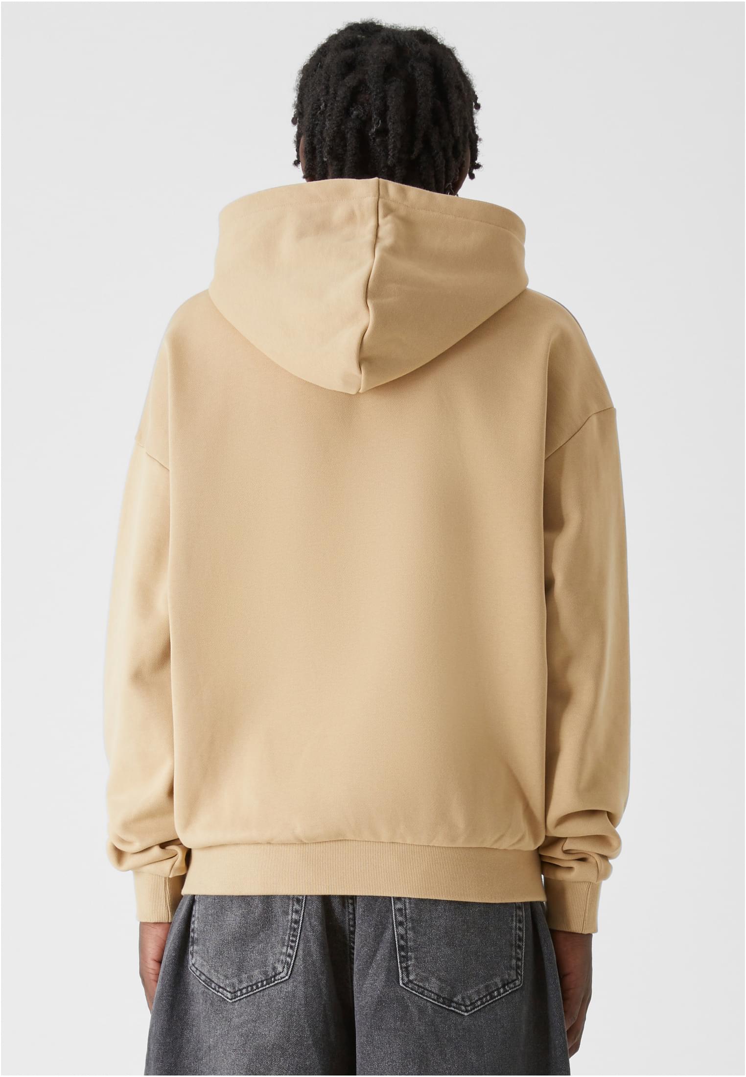 Lost Youth Felpa con cappuccio LY CLOUD unionbeige