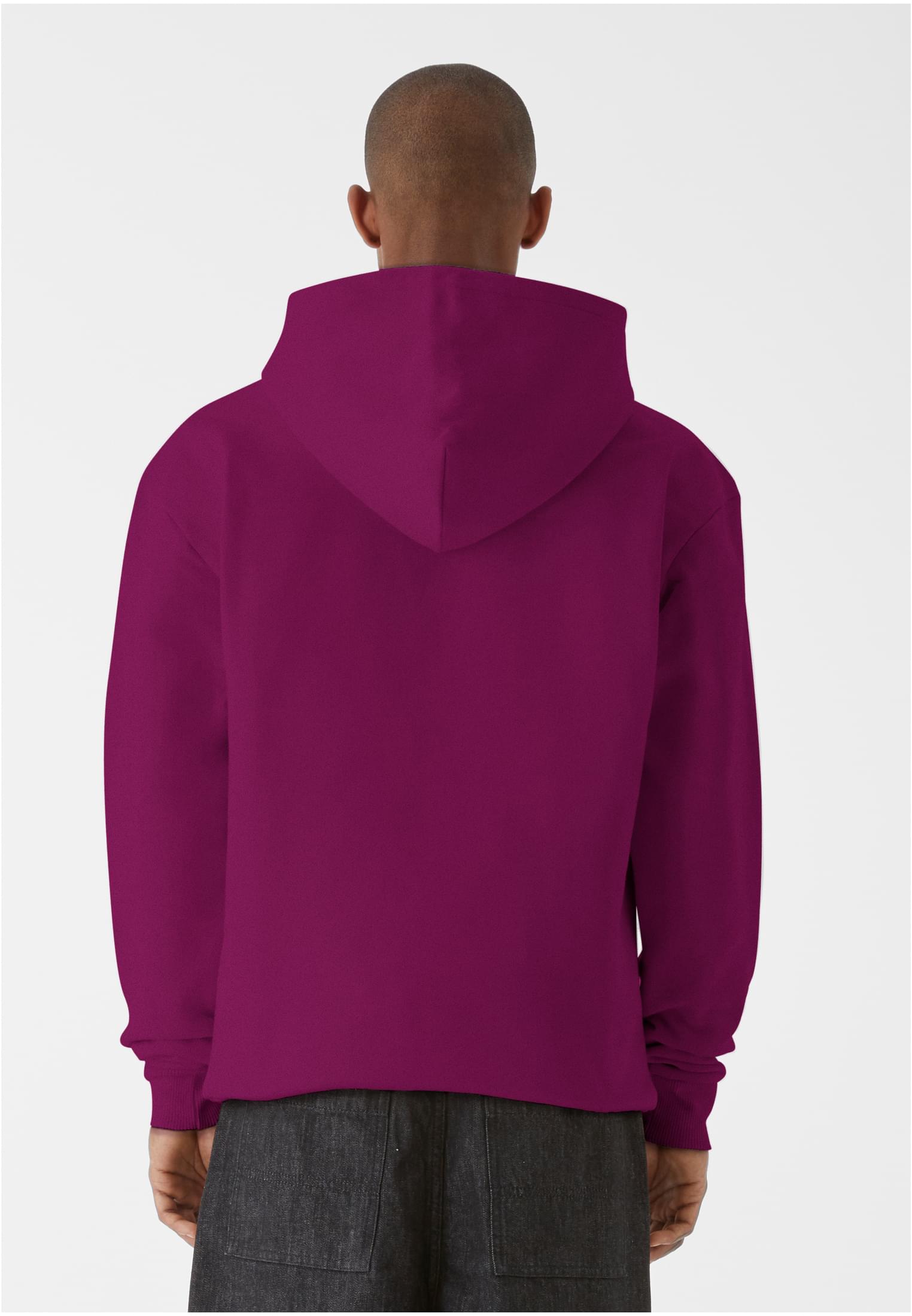 9N1M SENSE Felpa con cappuccio Sense Blank aubergine