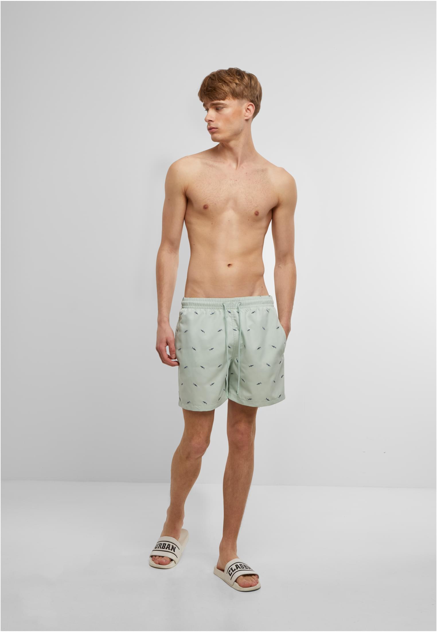 UC Men Pantaloncini Embroidery Swim frotmint/vintageblue