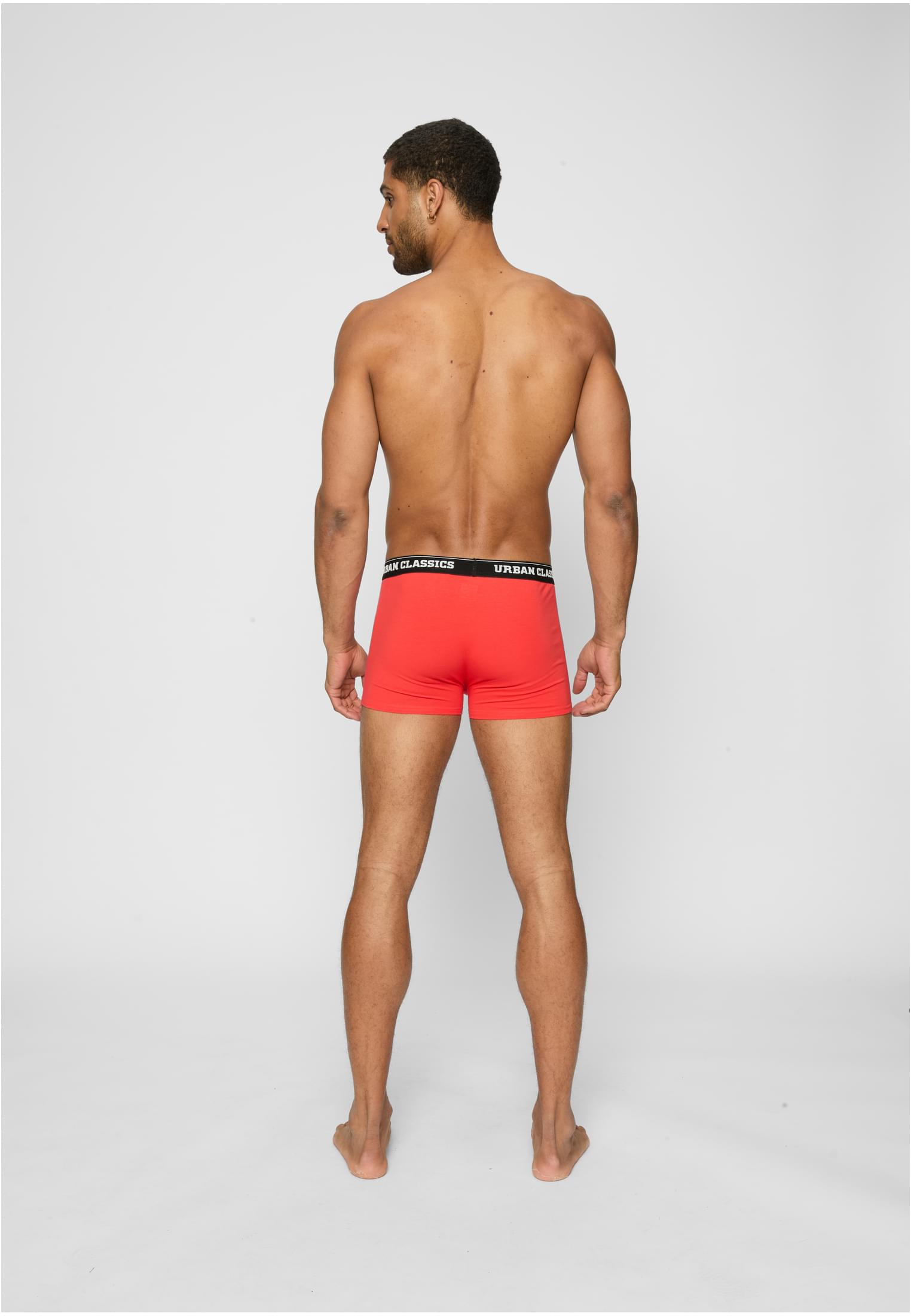 Urban Classics Pantaloncini Essentials X-Mas nicolaus aop+treegreen+popred