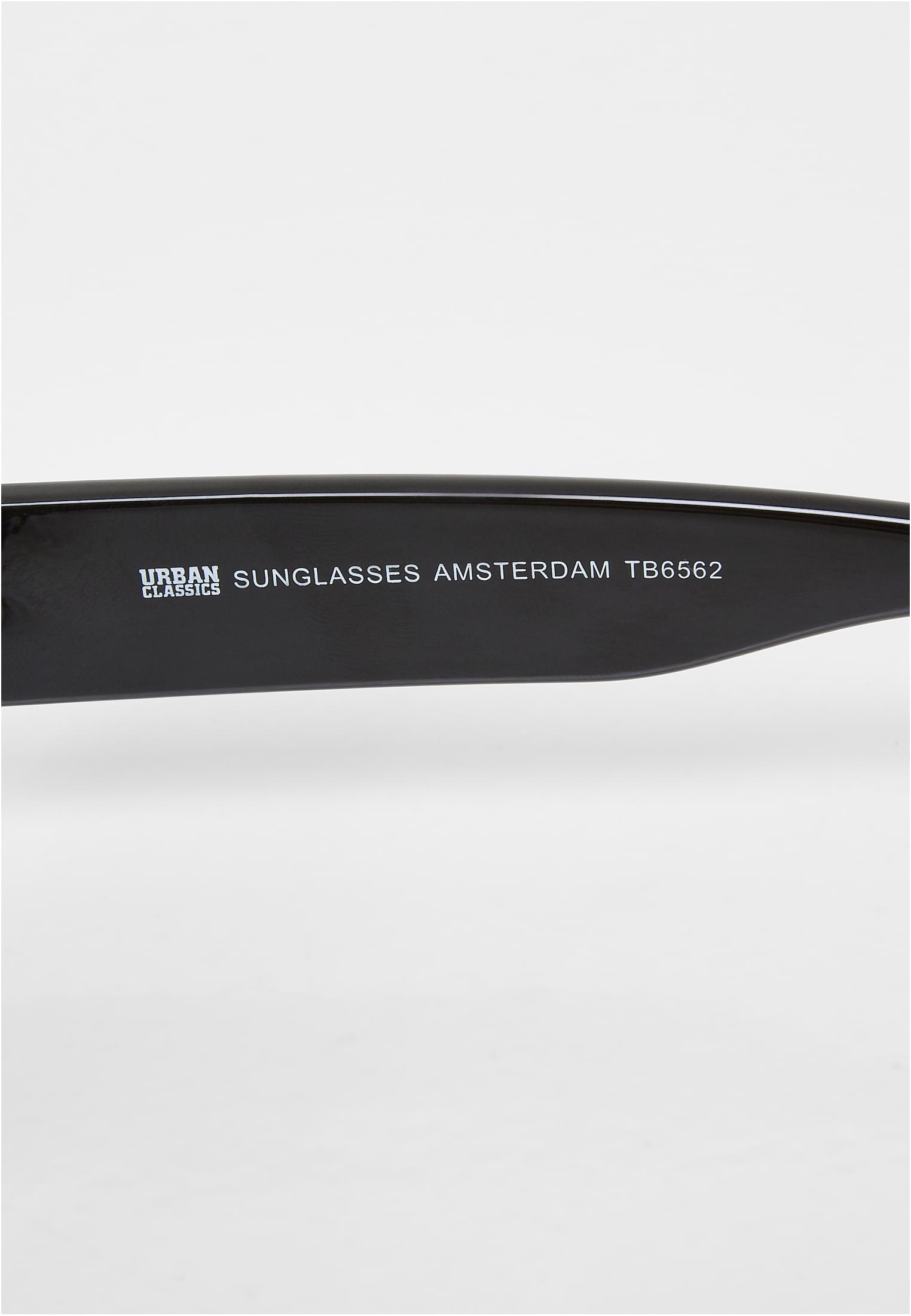 Sunglasses AmsterdamTB6562