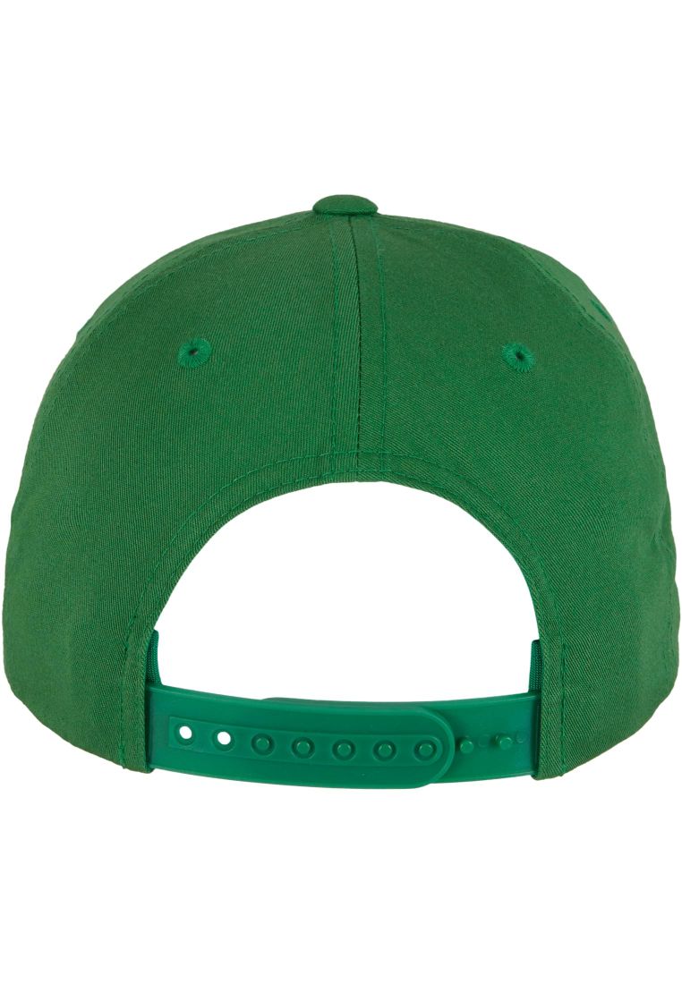 Curved Classic Snapback - Caps - TTU7706 - 516