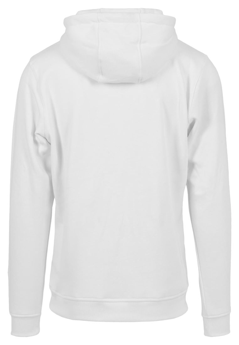 NASA Hoody - Artisti Hupparit - TTUMT519 - 305