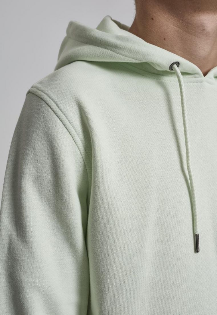 Basic Sweat Hoody - Hoodies - TTUTB1592 - 1960