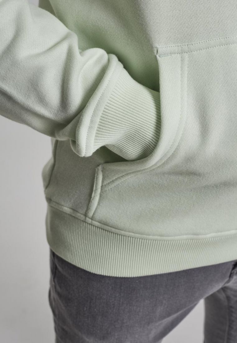 Basic Sweat Hoody - Hoodies - TTUTB1592 - 1961