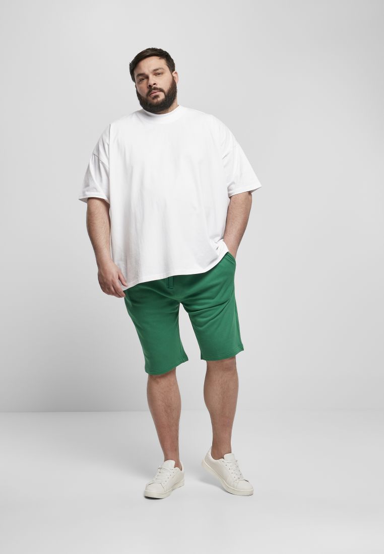 Basic Sweatshorts - Mens Shorts - TTUTB2076 - 428