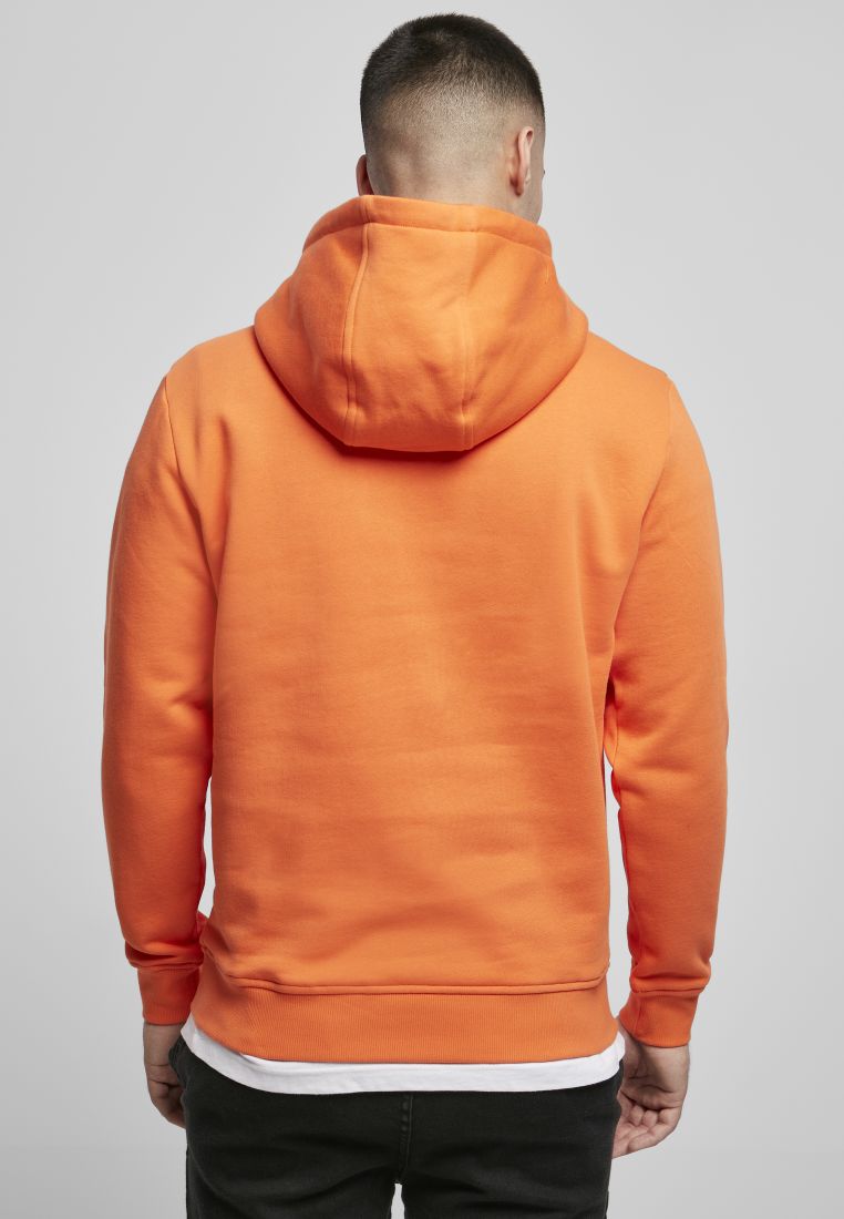 Organic Basic Hoody - SUSTAINABLE CLOTHING - TTUTB3086 - 1476