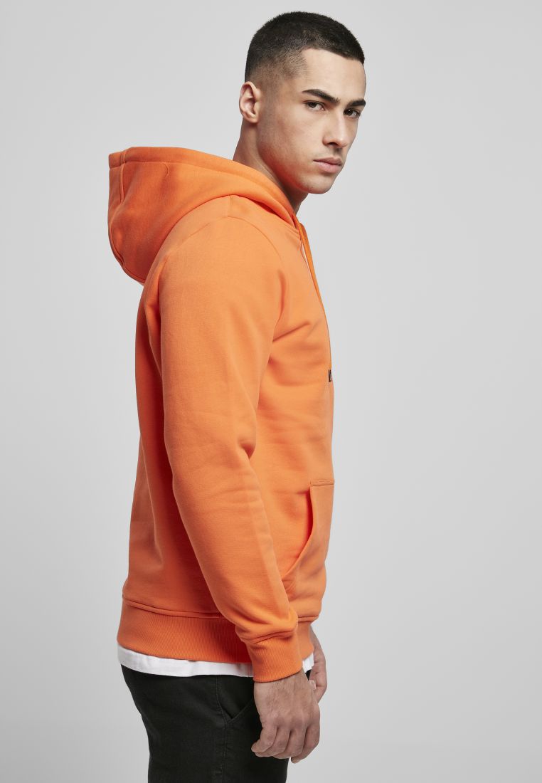 Organic Basic Hoody - SUSTAINABLE CLOTHING - TTUTB3086 - 1477