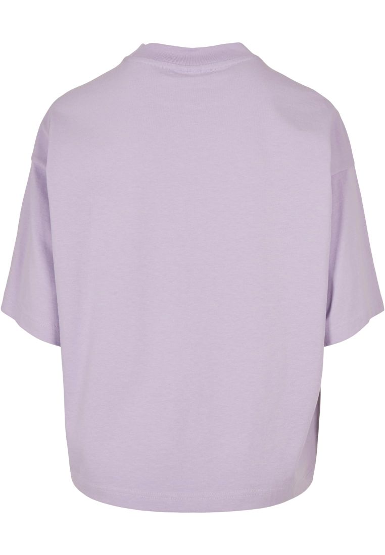 Ladies Organic Heavy Tee - - TTUTB4747 - 310