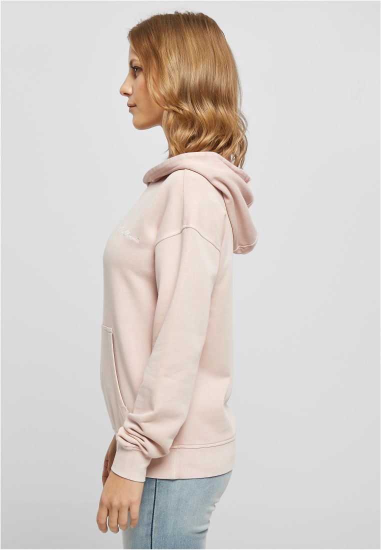 Ladies Small Embroidery Terry Hoody - Ladies Hoodies - TTUTB5460 - 575